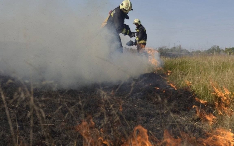 Erdő-aljnövényzet tűzhöz riasztották a pápai tűzoltókat