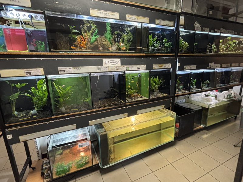 Inter-Fisch-Zoo - Díszállat Centrum - Pápa