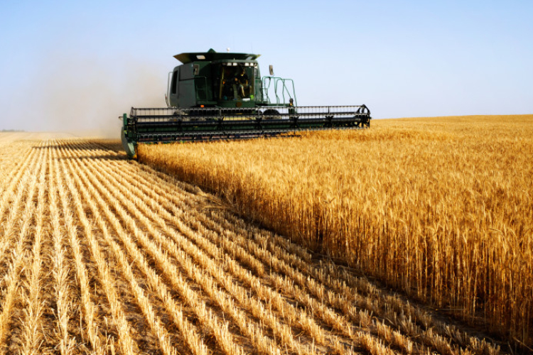 AM: jelenleg is tart az aratás, figyeljünk az utakon!