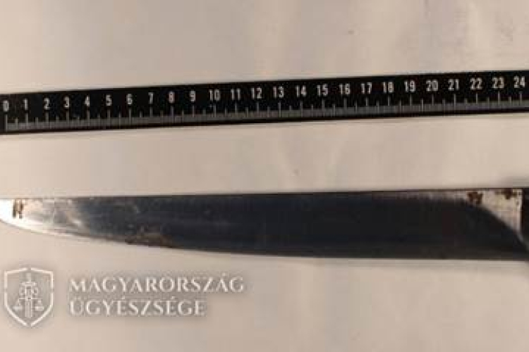 Egy család megölésére készült a börtönből szabadult pápai férfi