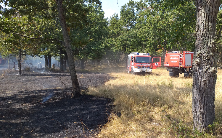 Hetvenkét tűzoltó tizennyolc járművel küzdött a lángokkal