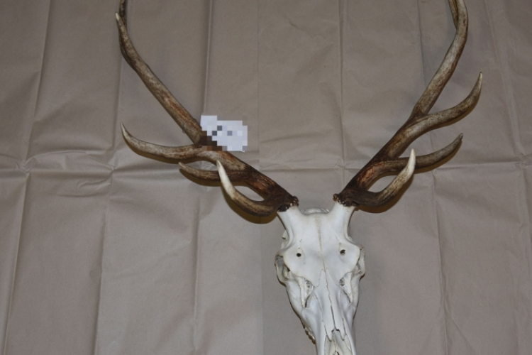 Agancstolvajokat fogtak el a rendőrök