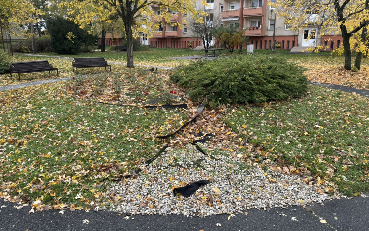 Közösségi munkában virágosítanának a Kiliánon