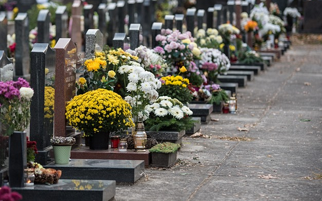 Rendszeresen lopta a temetőből a virágokat a tolvaj, a rendőrök elfogták