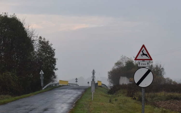 Egy nap alatt három vadbaleset is történt Veszprém megye közútjain