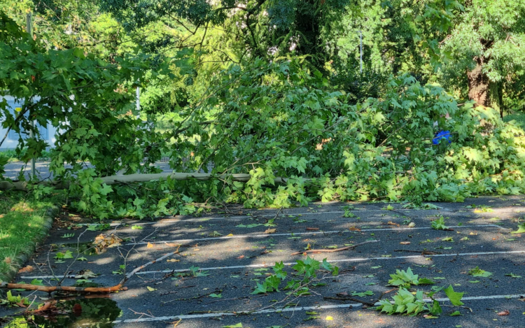 Brutális erővel csapott le a vihar Pápára és környékére