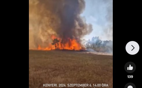 Újra lángol a fenyves Kenyerinél - Videó