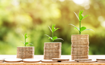 A megújuló energia és az ingatlanfejlesztés húzza a zöldhiteleket