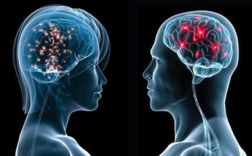 Eddig ismeretlen, alapvető kapcsolatot fedeztek fel az idegsejtek és az agyi immunsejtek között