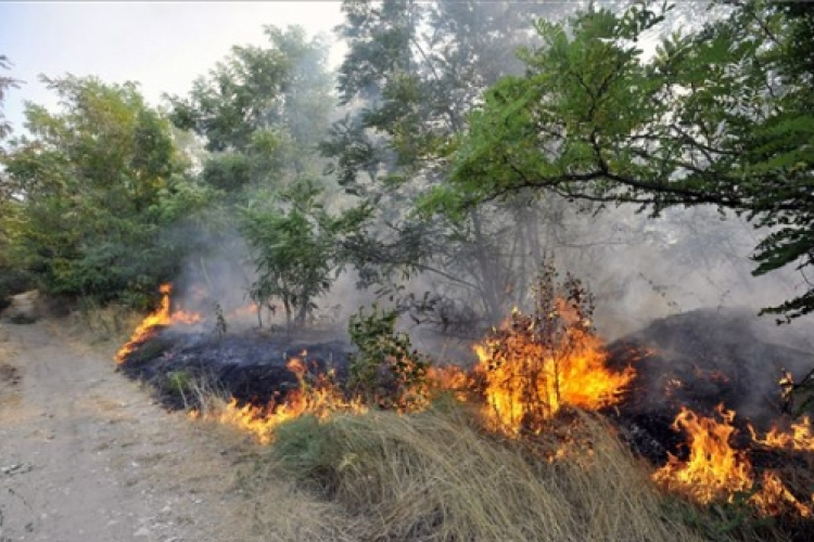 Visszavonta az országos tűzgyújtási tilalmat a Nébih