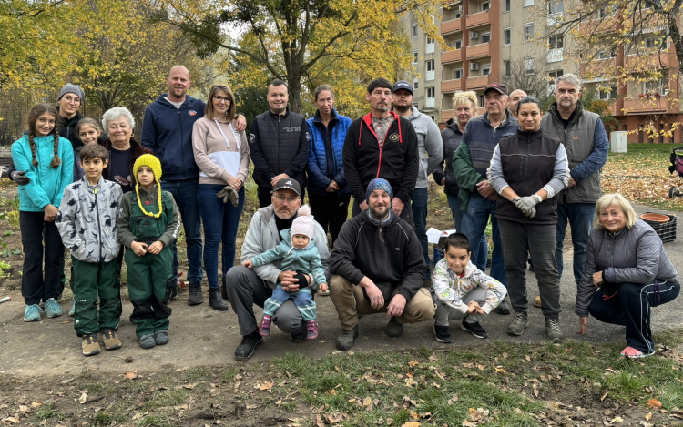 Közösségi munkában ültették be virágokkal a Kilián központját