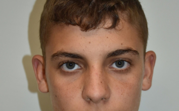 Eltűnt Süle Armandó Sándor Pápáról