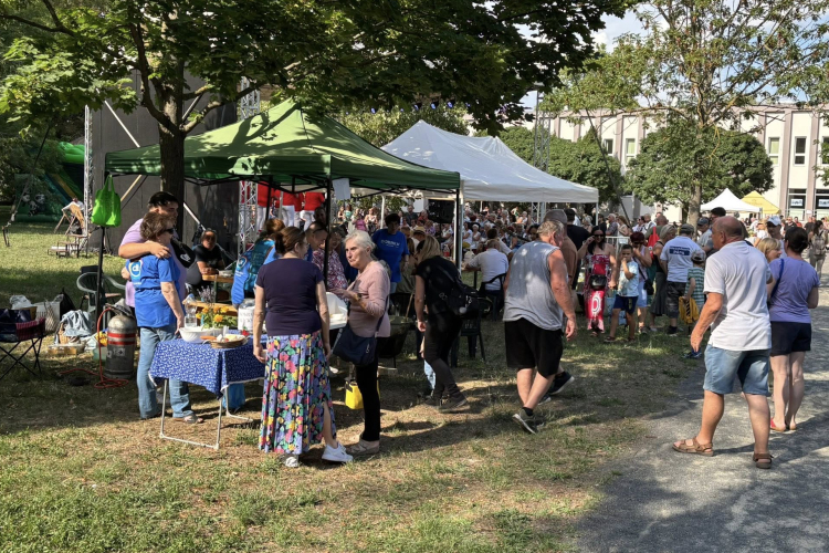 Csaknem 500 ezer forint gyűlt össze a városrészi napon