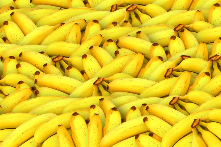 Banánok közé rejtett, rekord mennyiségű kokainra bukkantak a spanyol hatóságok