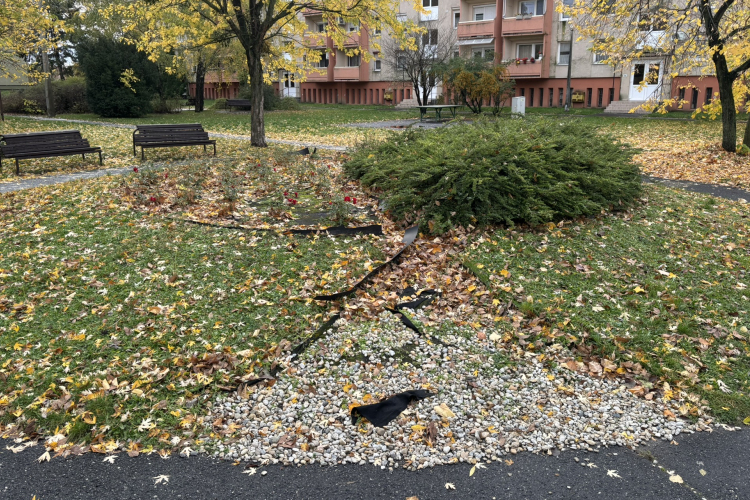 Közösségi munkában virágosítanának a Kiliánon