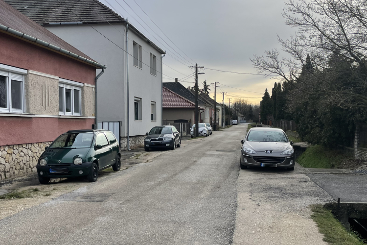 Tömegverekedés a Ligetkert utcában - »Ilyet még a filmekben sem nagyon láttam«