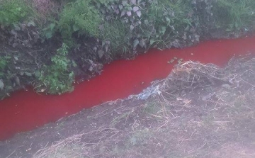 Újra vöröslik a Tapolca vize