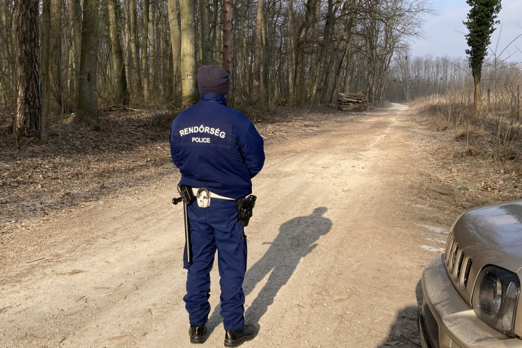 A Bakony erdeiben tartottak ellenőrzést a rendőrök