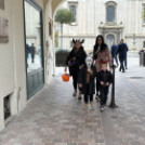 Halloweeni Forgatag - Pápa