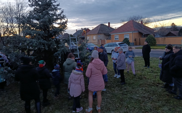 Közösségi fenyődíszítés az Erzsébetvárosban és a Felsővárosban