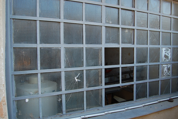 Iskolai lopó a bíróság előtt