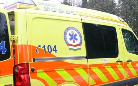 Négy ember halt meg, amikor fa dől egy autóra Dombóváron