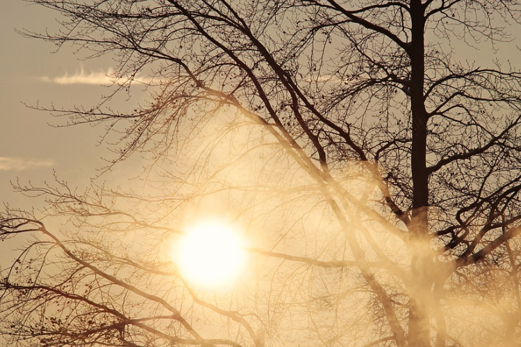 A múlt tél volt a harmadik legmelegebb 1901 óta