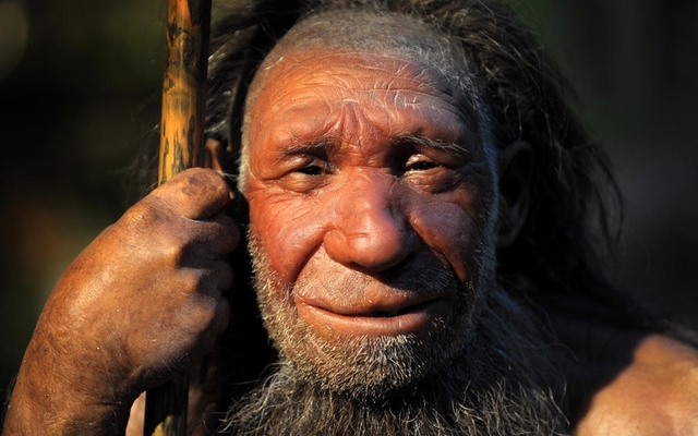 Állandó fülgyulladás okozhatta a neandervölgyi ember kihalását