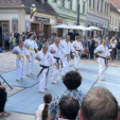 Belvárosi Forgatag - Május - Karibi Utcabál