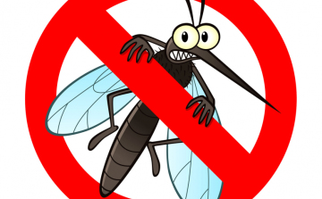 Elviselhetetlen a szúnyoghelyzet Pápán, újra gyérítik a vérszívókat
