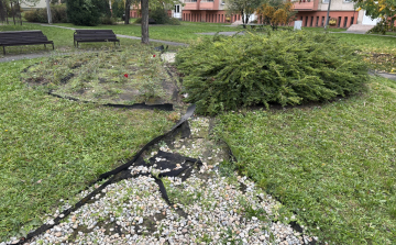 Önkéntesek figyelem! Több helyen lehet majd segíteni a város szebbé tételében