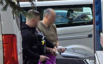 Megölte szomszédját, majd annak édesanyjára is rátámadt a Pápa környéki férfi