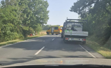 Méhcsípés okozott súlyos balesetet Pápa és Pápakovácsi között