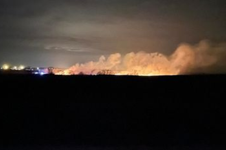 Nádastűz: Négy város tűzoltói fékezték meg a lángokat