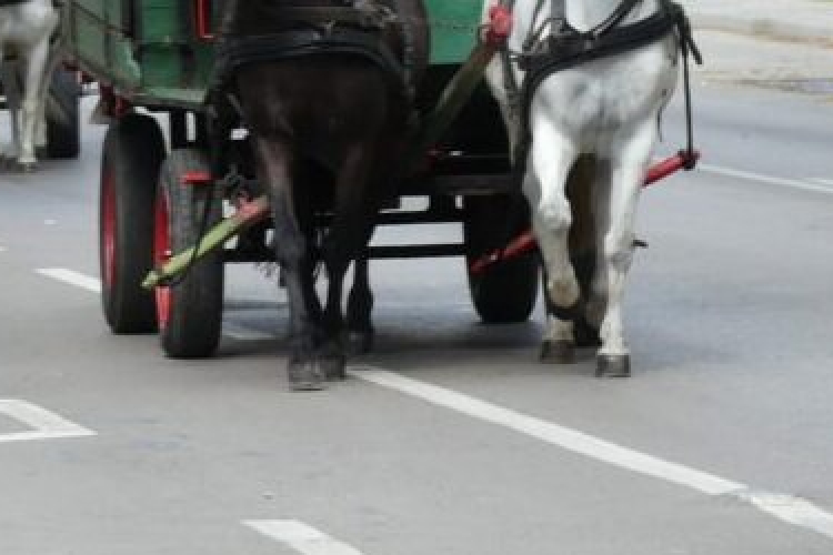 Ittasan okozott balesetet a lovaskocsit hajtó férfi, a rendőrök gyanúsítottként kihallgatták 