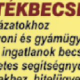 Bodnár Mónika - Ingatlanforgalmi értékbecslő - Energetikai Tanúsítvány - Pápa