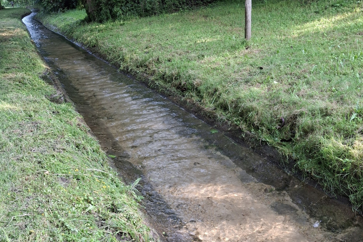 Megtisztították a patakot