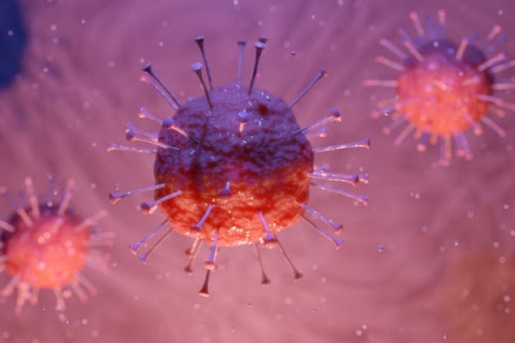 Csaknem 2,8 millióan fertőződtek meg a koronavírussal szerte a világon