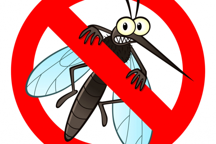 Elviselhetetlen a szúnyoghelyzet Pápán, újra gyérítik a vérszívókat