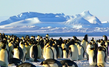 Az eddig véltnél gyorsabban olvadhat az egyik hatalmas antarktiszi gleccser