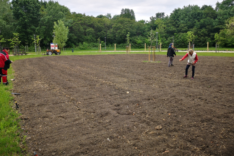 Méhlegelőt alakítanak ki Pápán