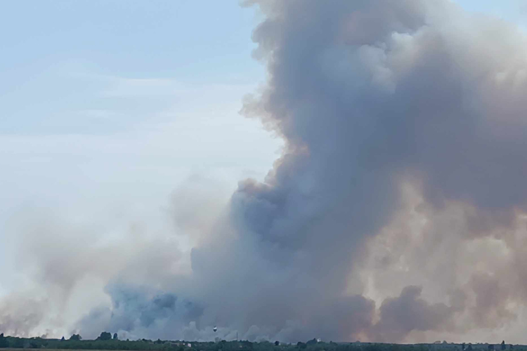 Újabb tűzeset a szárazság miatt, ismét riasztották a pápai tűzoltókat is! - Videó