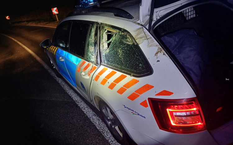 Rendőrautó és szarvasbika találkozott Kapolcsnál