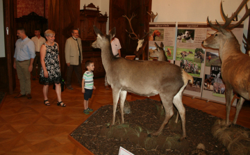 Vadászati kiállítás nyílt az Esterházy-kastélyban