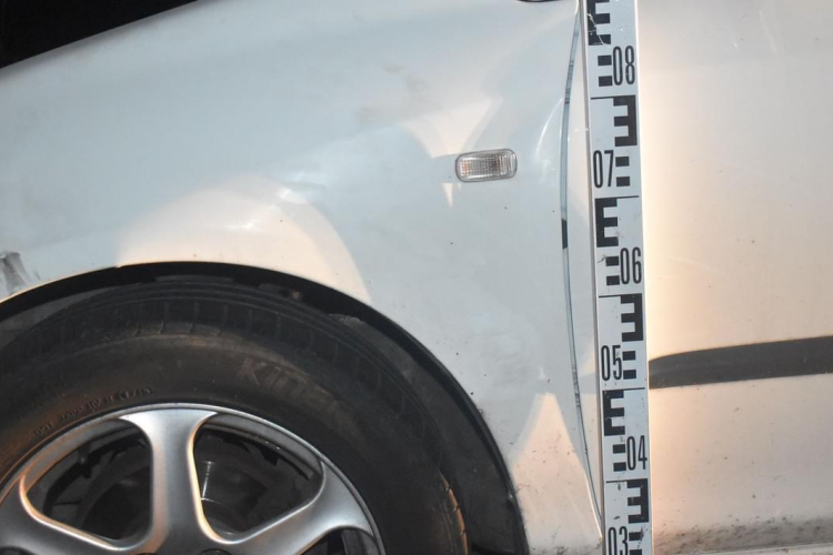 Újabb őzelütés Pápa térségében