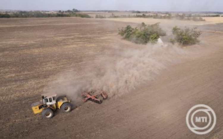 Agrárkamara: a fiatal gazdáknak is elérhetővé teszik az ingyenes pályázatírási szolgáltatást