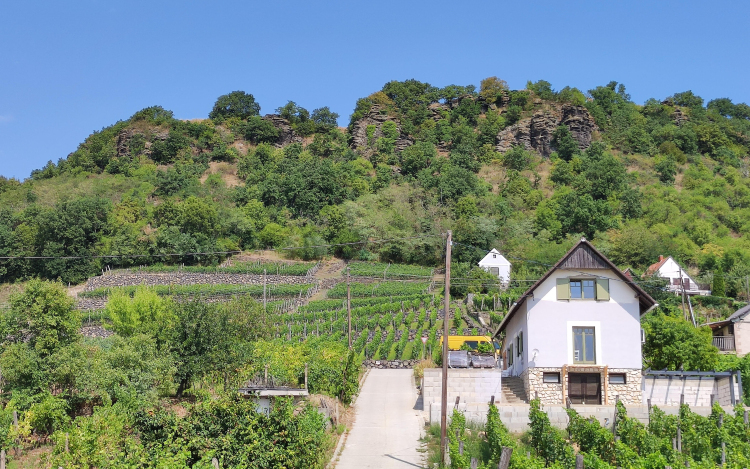 A Somlón talált kincsek újraírhatják az európai őstörténetet