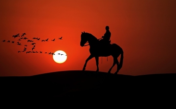 A lovaglás legősibb bizonyítékára bukkantak Kazahsztánban