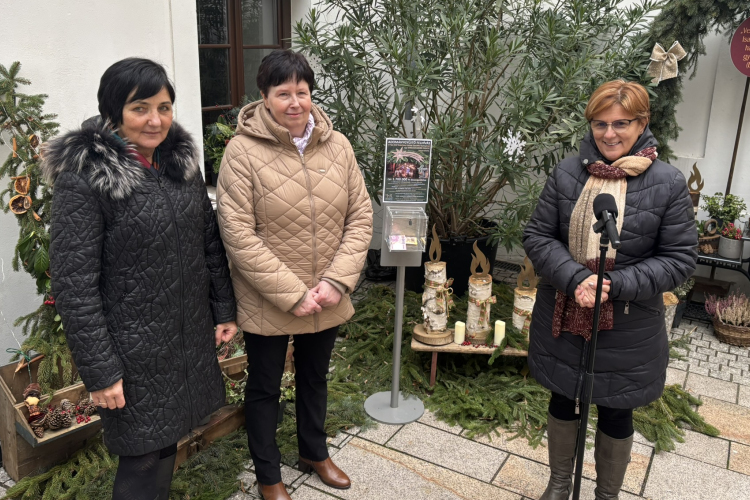 Gyűjtés indult a pápai újszülött osztály támogatására