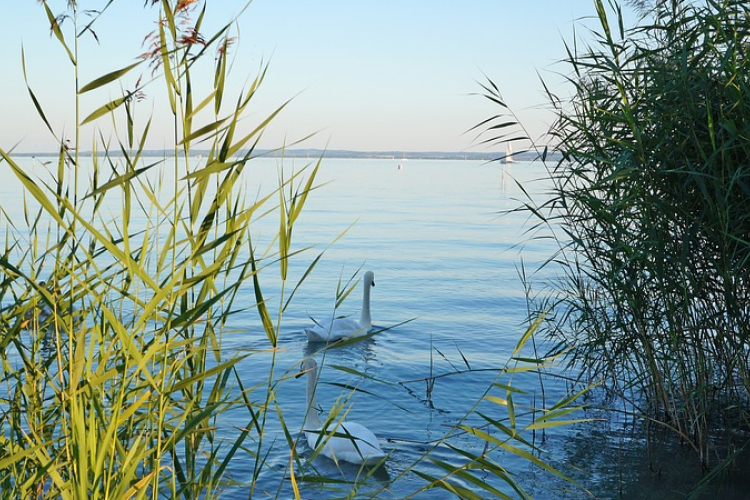 Jelentősen csökken 2100-ra a Balaton vízgyűjtő területén a vízkészlet